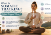 Person practising somatic tracking meditation with hands on the chest and abdomen, symbolising body awareness, nervous system regulation, emotional healing, and the release of trapped stress through mindful observation.