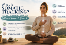 Person practising somatic tracking meditation with hands on the chest and abdomen, symbolising body awareness, nervous system regulation, emotional healing, and the release of trapped stress through mindful observation.
