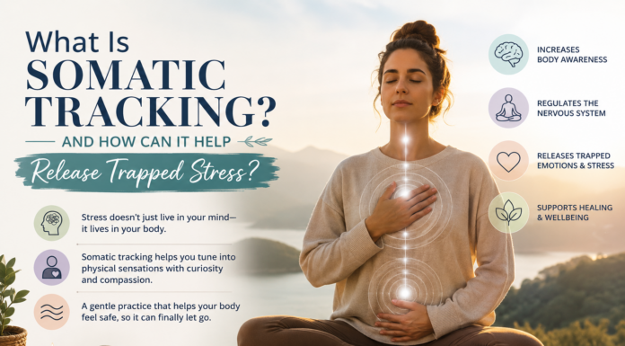 Person practising somatic tracking meditation with hands on the chest and abdomen, symbolising body awareness, nervous system regulation, emotional healing, and the release of trapped stress through mindful observation.