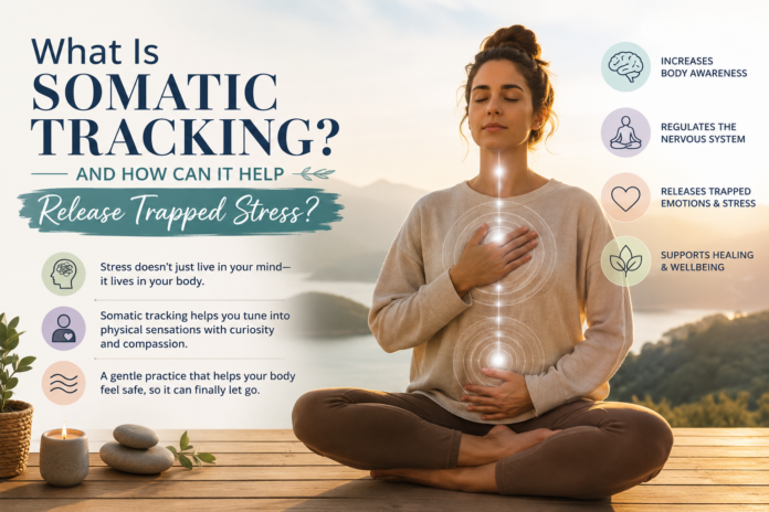 Person practising somatic tracking meditation with hands on the chest and abdomen, symbolising body awareness, nervous system regulation, emotional healing, and the release of trapped stress through mindful observation.